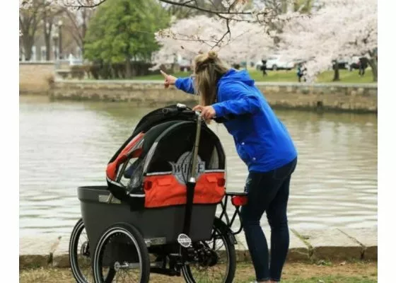 Wike Salamander - Sähkötavarapyörä Ja Lastenrattaat 6 Wike Salamander - Sähkötavarapyörä Ja Lastenrattaat - Image 4