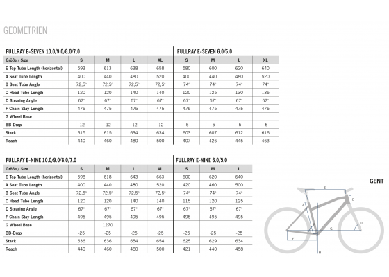 R Raymon FullRay E-Nine 10.0 - Sähkömaastopyörä 6 R Raymon FullRay E-Nine 10.0 - Sähkömaastopyörä - Image 4